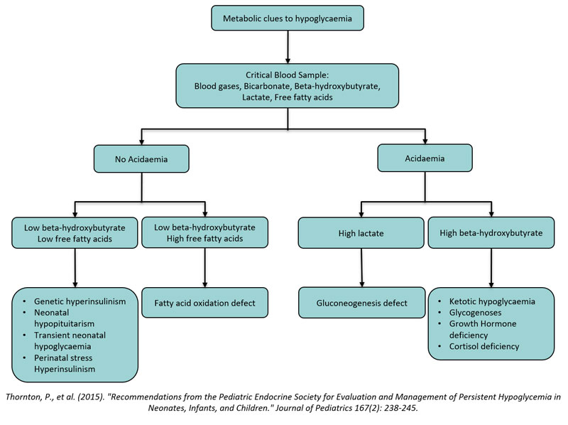 Hypoglycaemia - 2